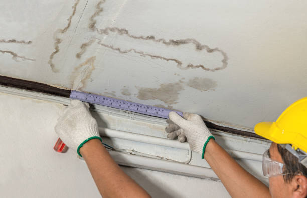 Reliable Flood Cleanup contractor in Middletown, VA by Water Damage Irwin